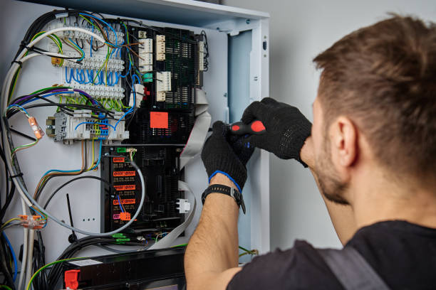 Licensed Electrical Panel Upgrade service in Cass City, MI - No Joke electrician
